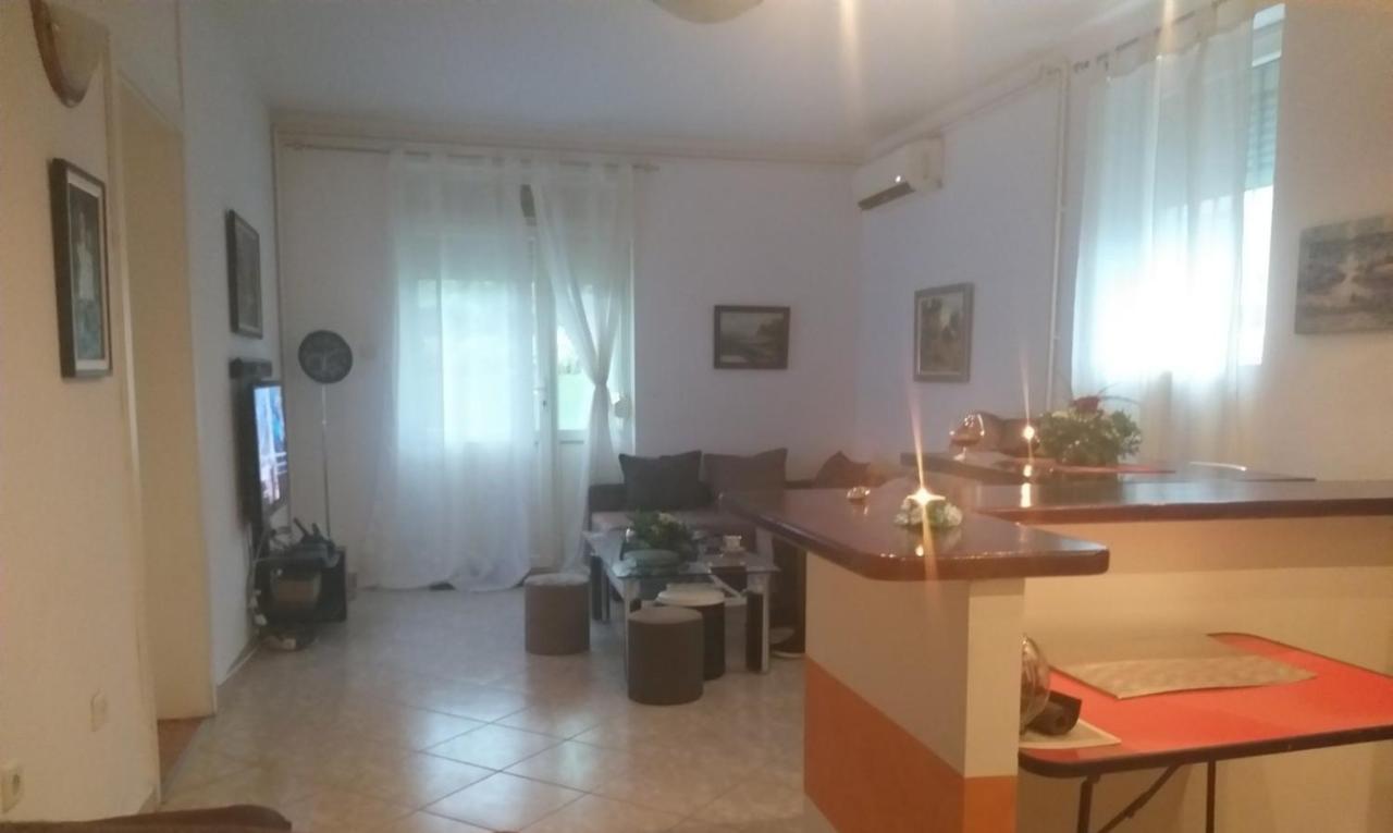 Apartman Nv Apartamento Vrnjačka Banja Exterior foto