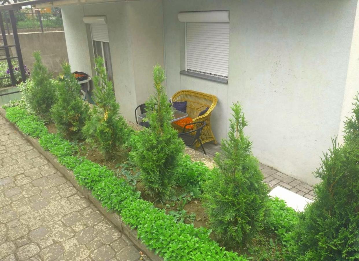 Apartman Nv Apartamento Vrnjačka Banja Exterior foto
